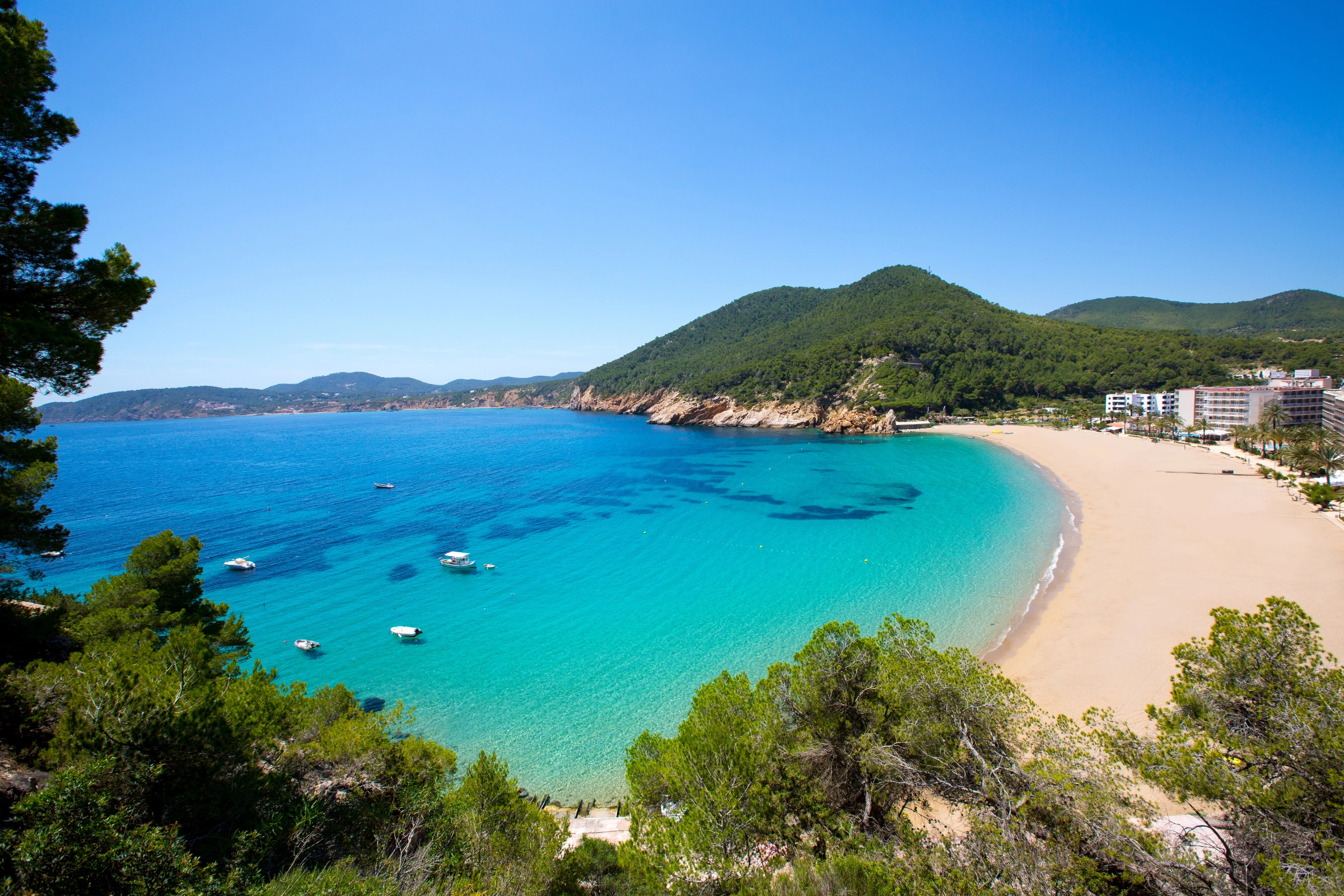San_Vicente[1].webp